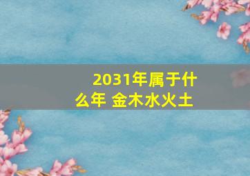 2031年属于什么年 金木水火土